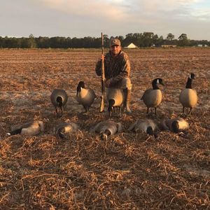 Meet your Posher, Jared